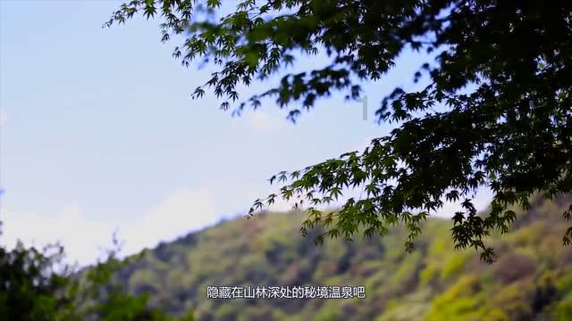 赤壁谈红鳝业生态养殖专业合作社谈火林：小鳝鱼吐出“金泡泡”